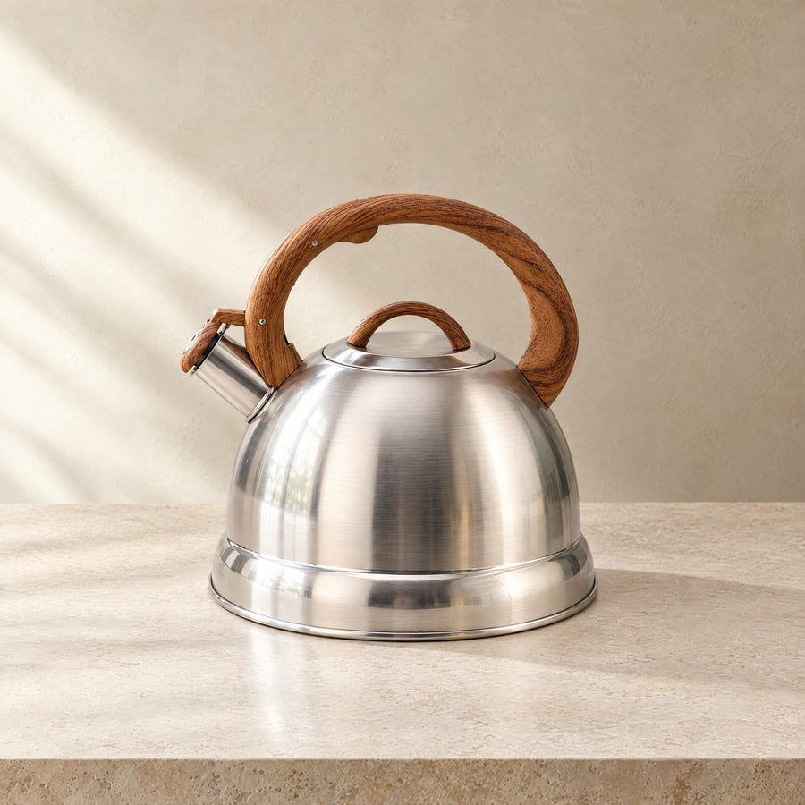 Stainless Steel Kettle