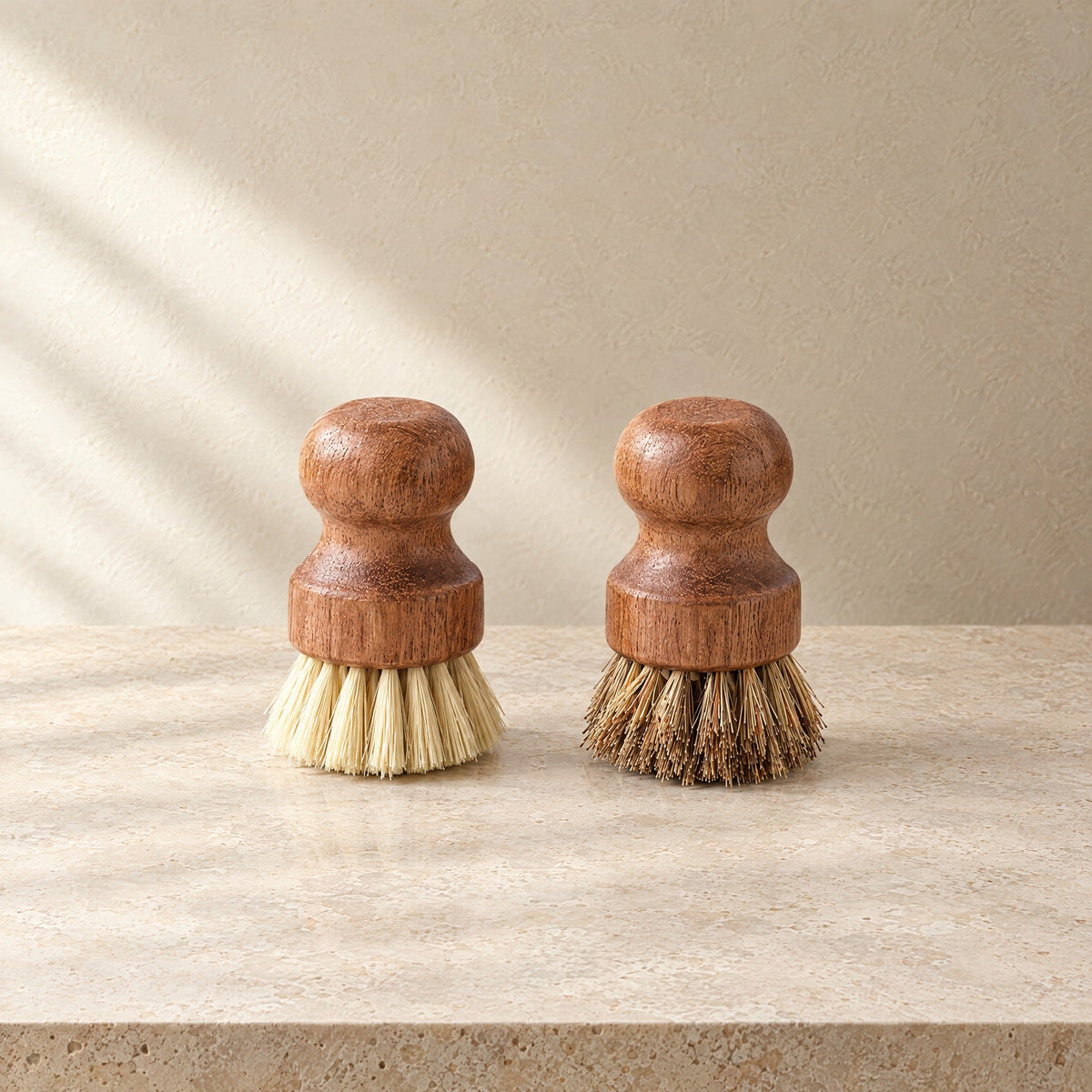 Two acacia pot brushes